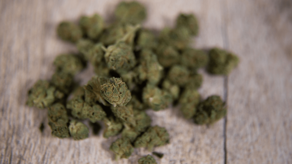 New Medicinal Cannabis Regulations in Florida Starting January 2020