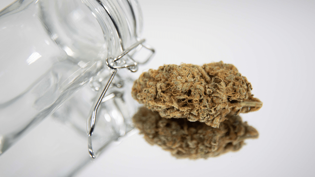 New Laws and Regulations for Medicinal Cannabis Consumers in Florida (2021)